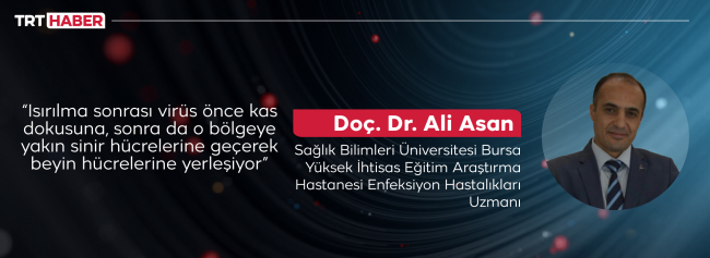 Kuduza karşı tek silah aşı